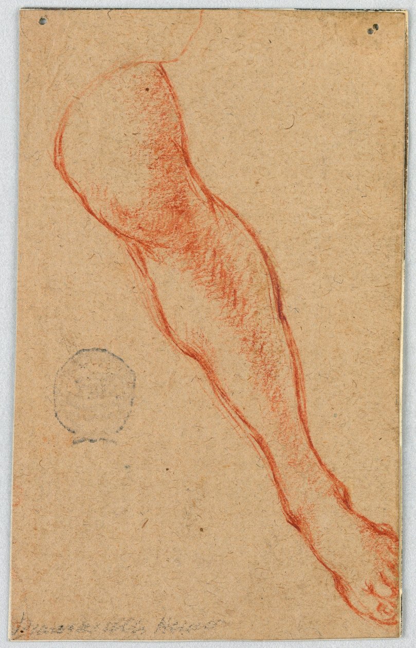 Disegno, Studio della Gamba Sinistra di una Donna Seduta da Unknown
