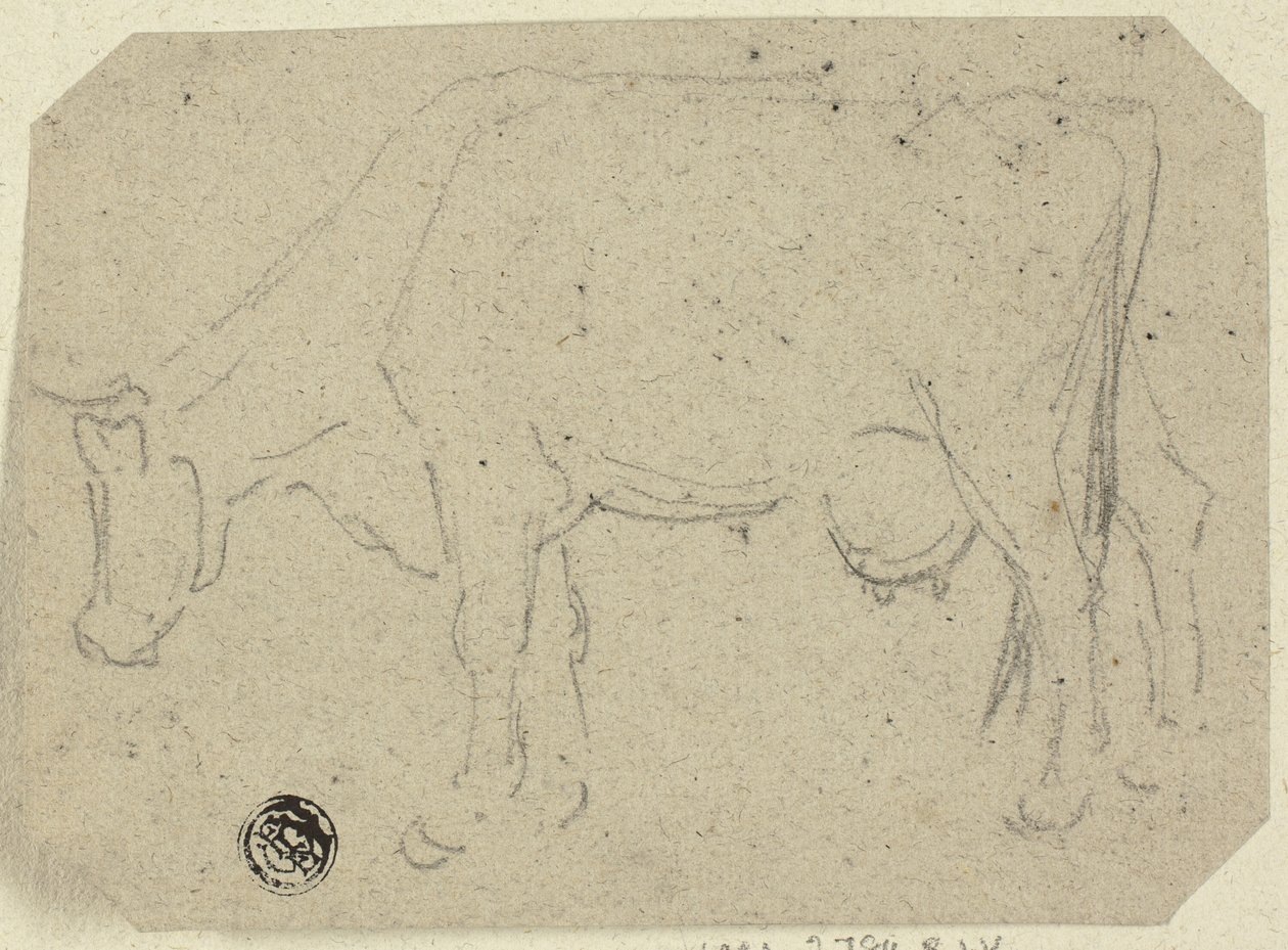 Mucca che pascola (recto); Testa di un animale (verso) da Unknown