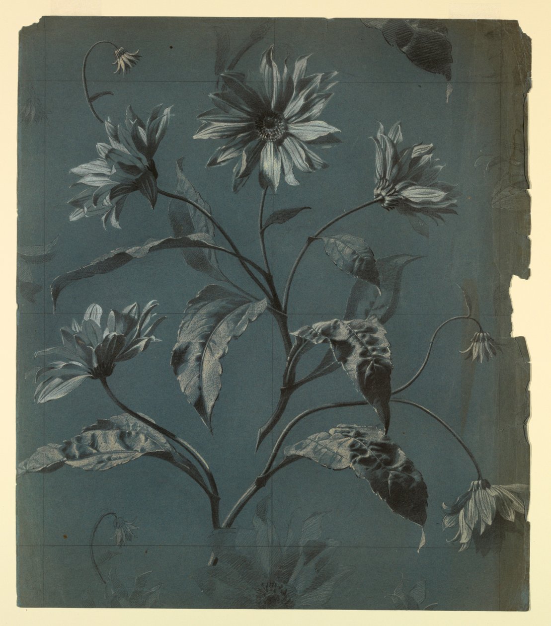 Progetto per carta da parati o tessuto con fiore tipo margherita a ripetizione da Unknown