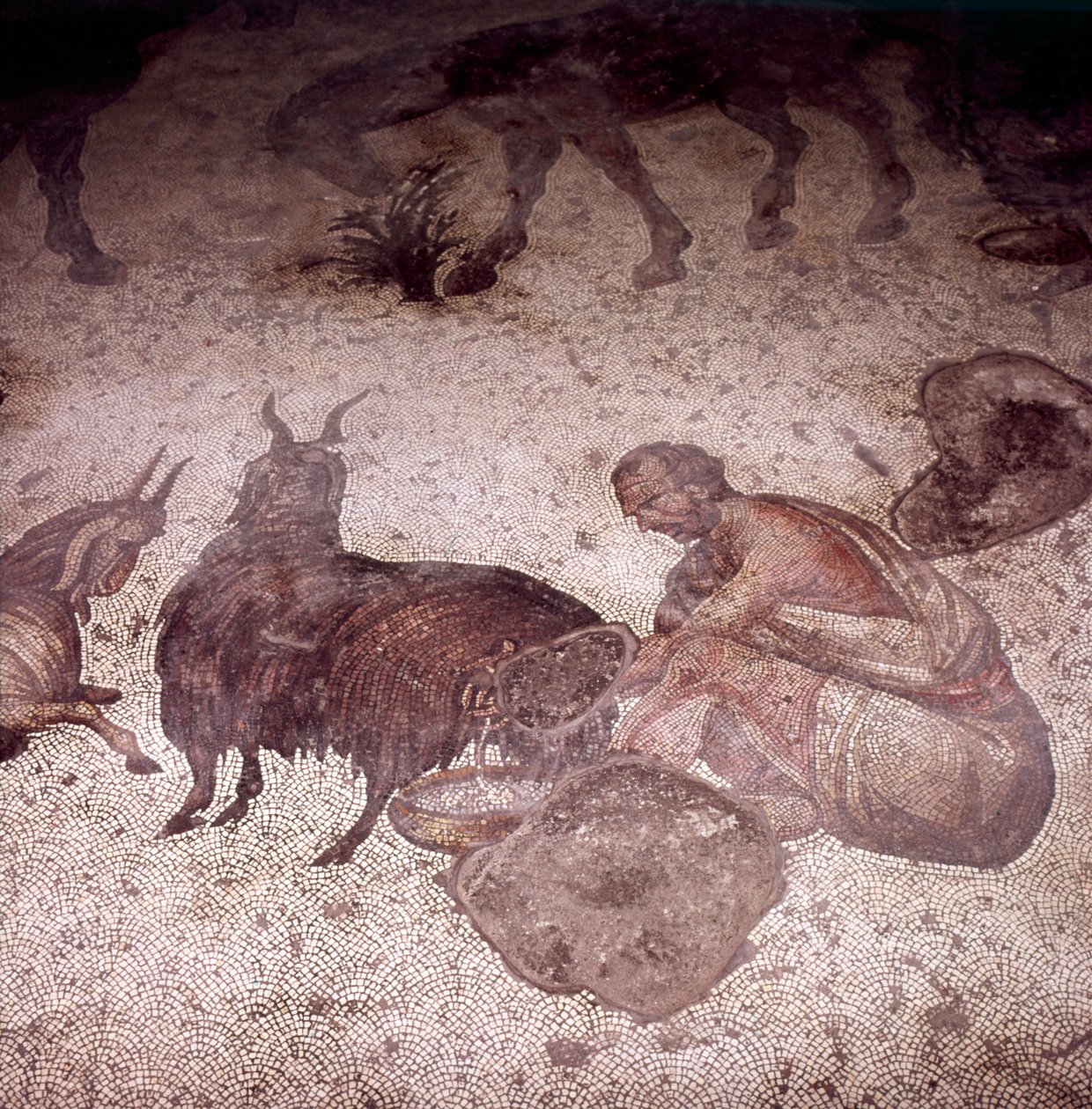 Dettaglio del mosaico del pavimento al Gran Palazzo, Istanbul, regno di Giustino, 565-575 da Unknown