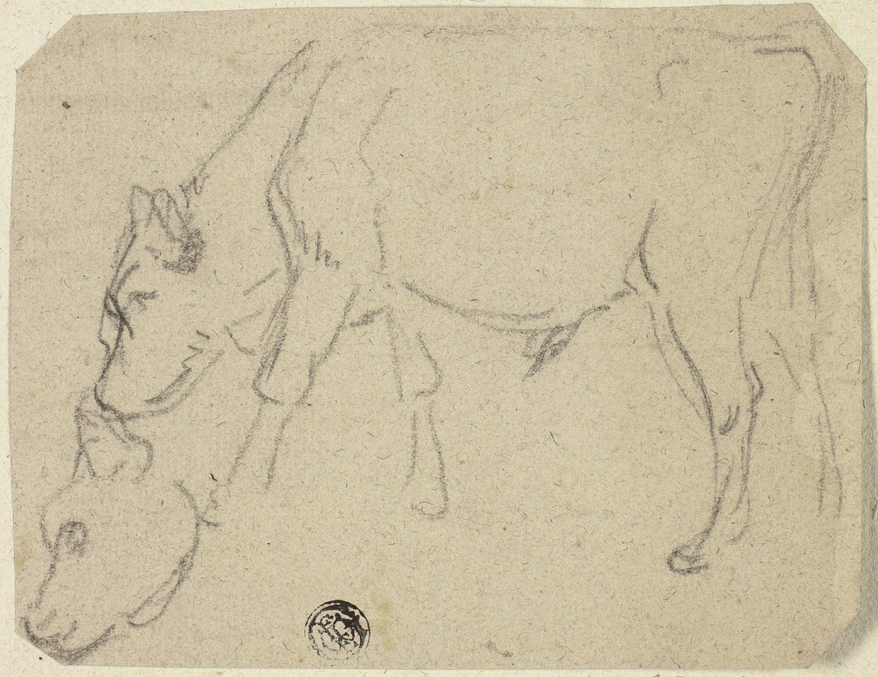 Schizzi di toro al pascolo, testa di mucca (recto); mucca seduta di profilo (verso) da Unknown