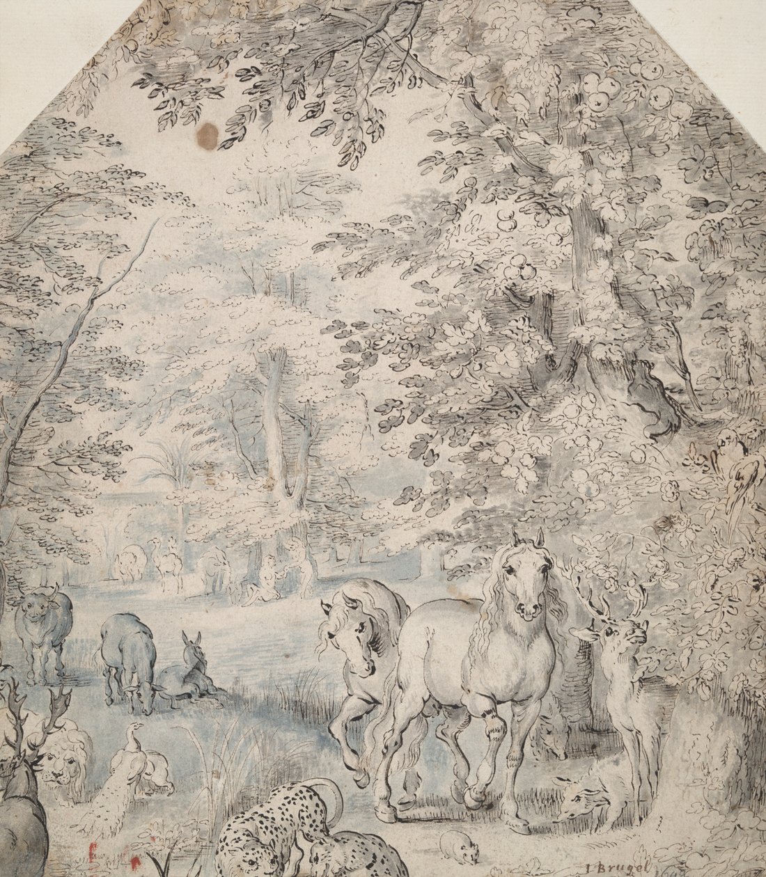 Il giardino dell