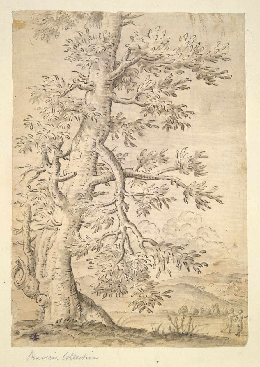 Albero da Unknown