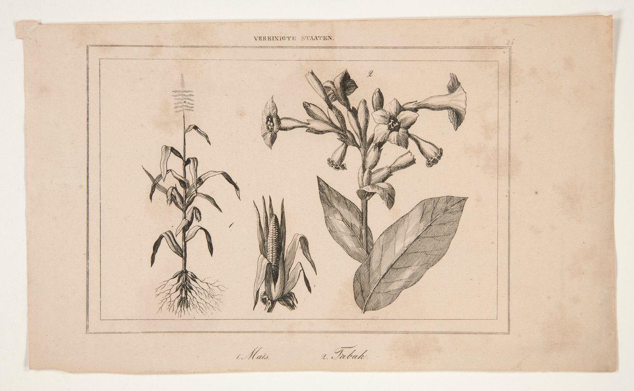Senza Titolo (Studio dell
