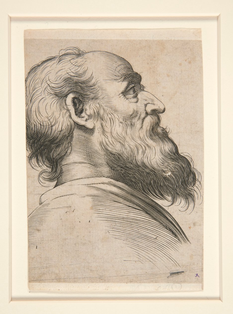 Senza titolo (uomo barbuto, che guarda in alto a sinistra) da Unknown