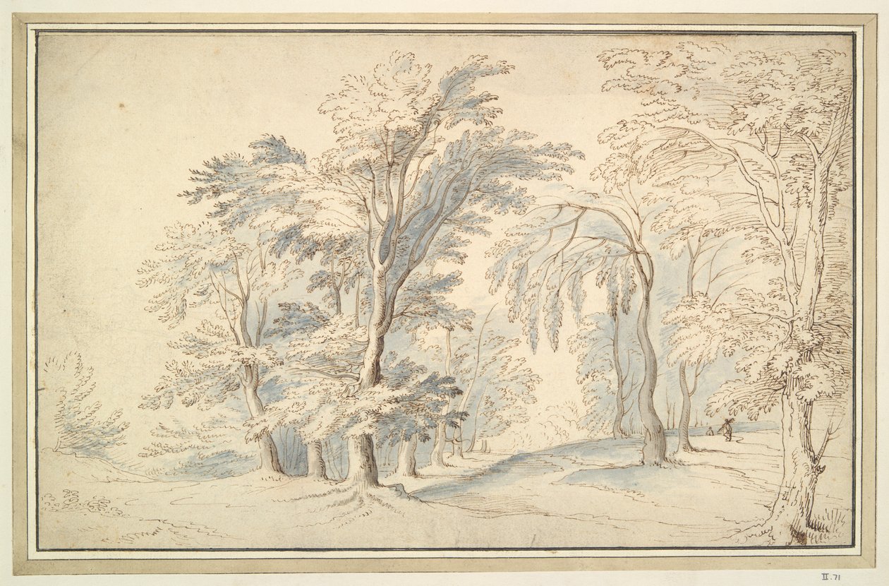 Paesaggio boscoso da Unknown