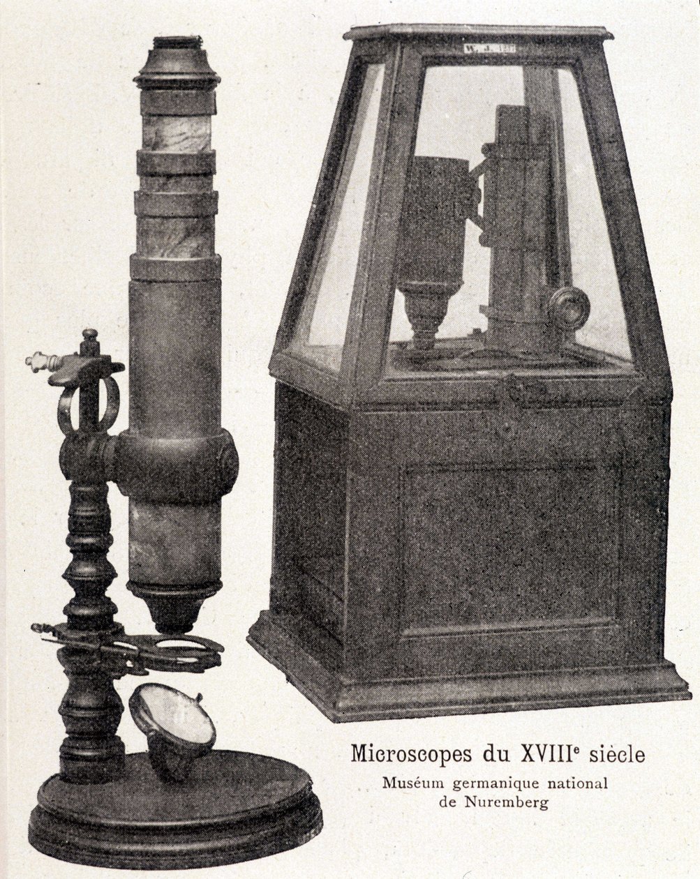 Microscopi del XVIII secolo: Museo Nazionale Germanico di Norimberga da Unknown artist
