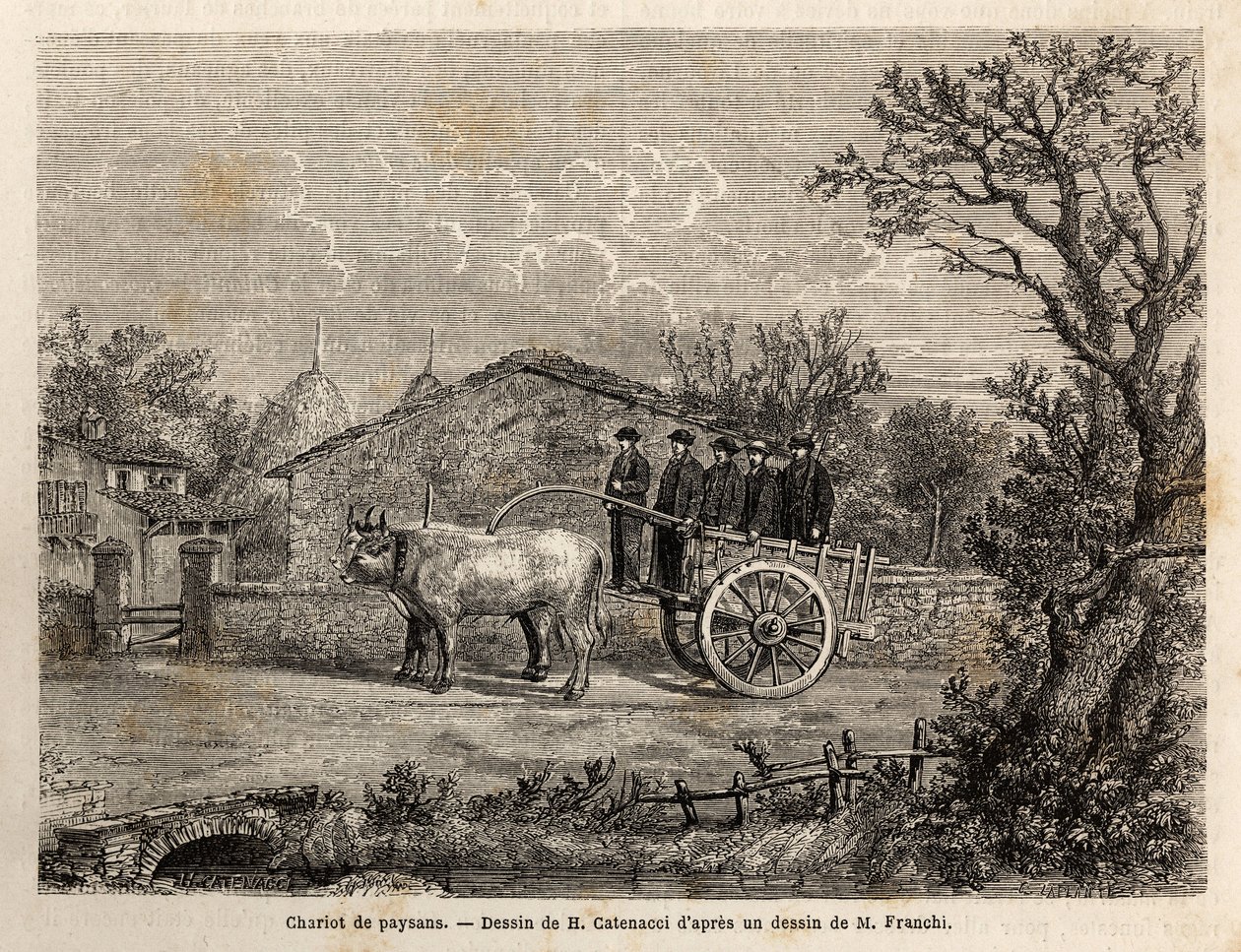 Un carro senese di contadini, a due ruote, per il trasporto di botti di vino, trainato da una coppia di piccoli buoi bianchi. Incisione per illustrare un viaggio a Siena (Italia) nel 1865, in 