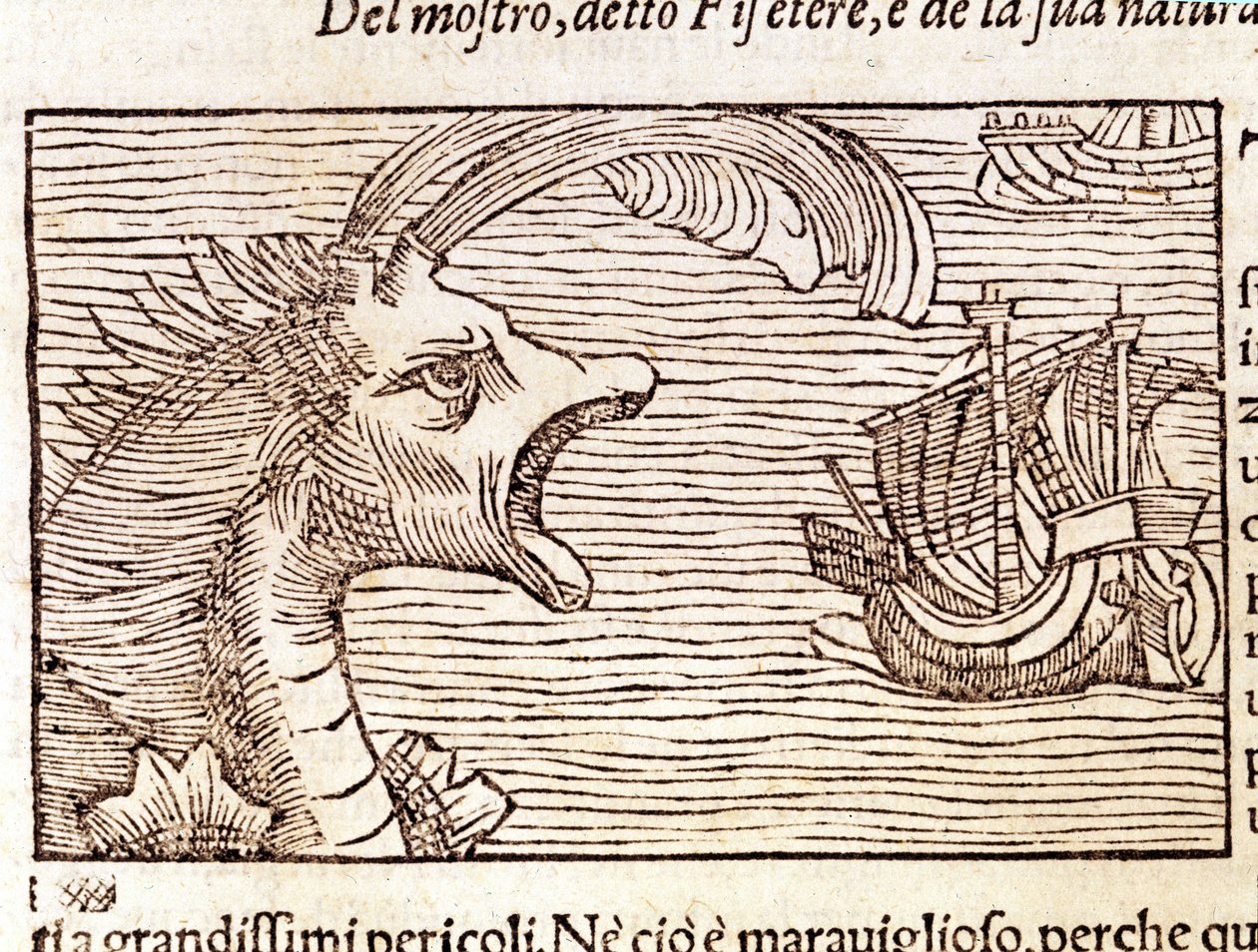Un capodoglio (?) (physeter) attacca una nave. Incisione di Olaus Magnus (1490-1557), religioso e geografo svedese, 