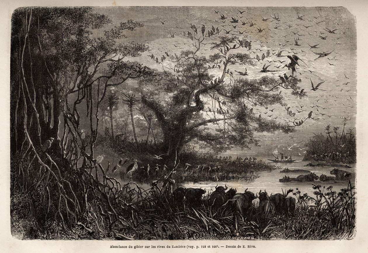 Abbondanza di selvaggina sulle rive dello Zambesi da Unknown artist