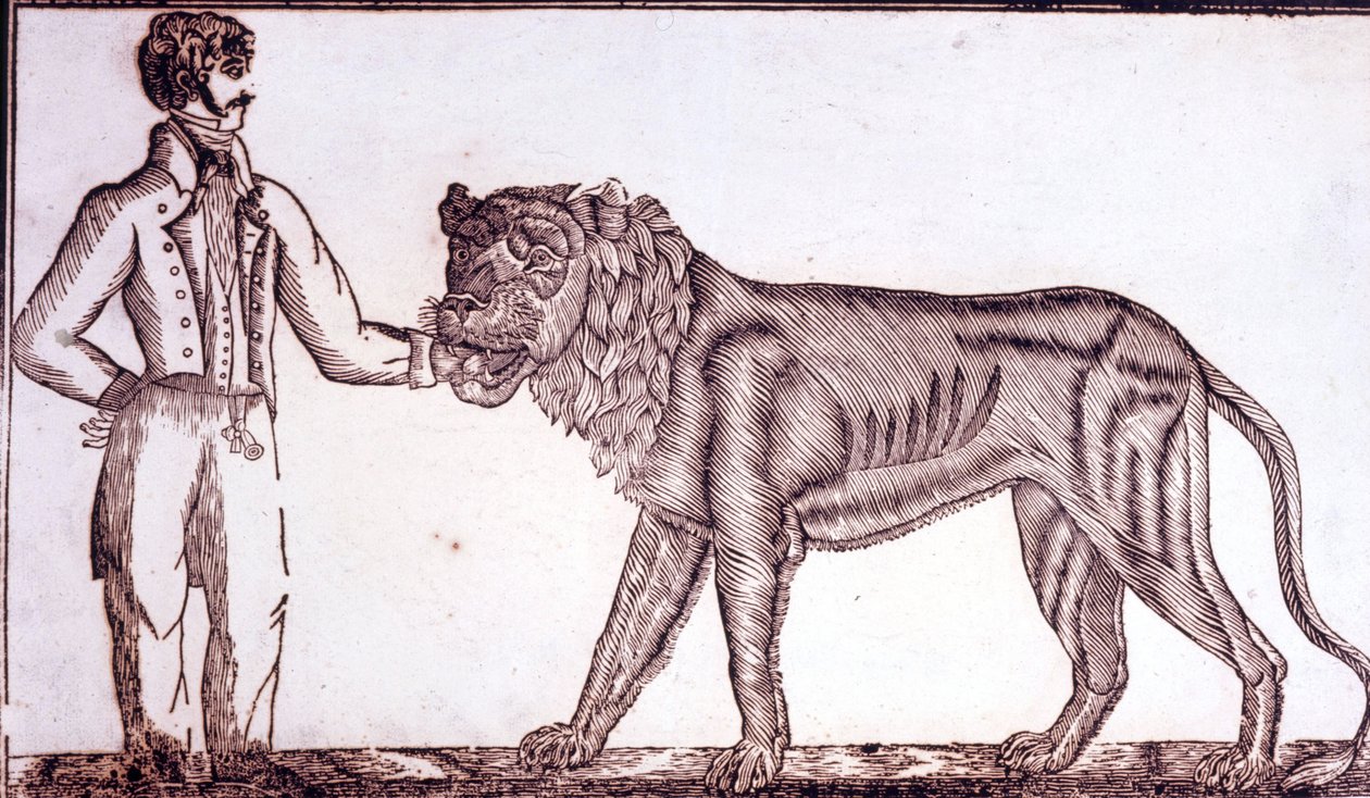 Pubblicità per il circo nel 1800 che raffigura un domatore che mette la mano nella bocca di un leone da Unknown artist