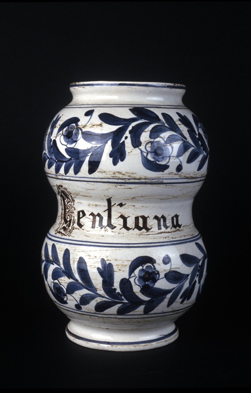 Albarelle: antico vaso farmaceutico del XVI secolo contenente genziana. Museo della Scienza e della Tecnologia, Milano. da Unknown artist