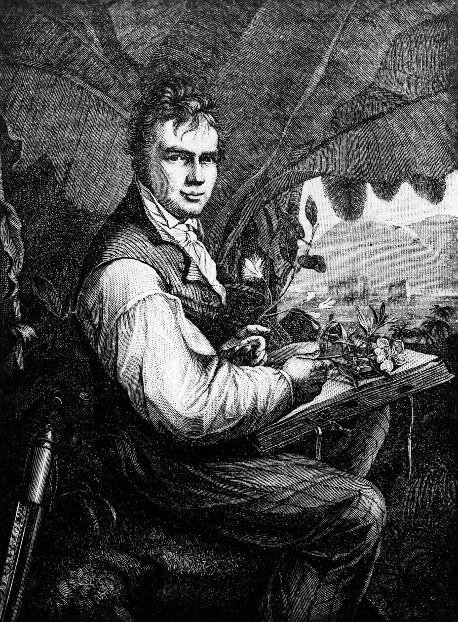 Alexander Von Humboldt (Alexander de Humboldt) da Unknown artist