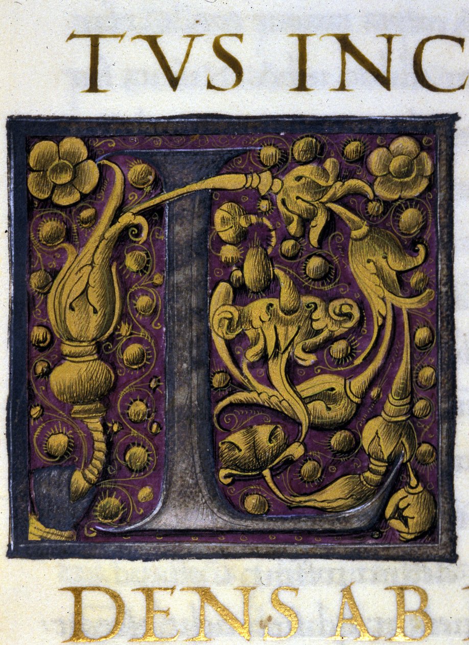 Alfabeto: lettera miniata L da Unknown artist