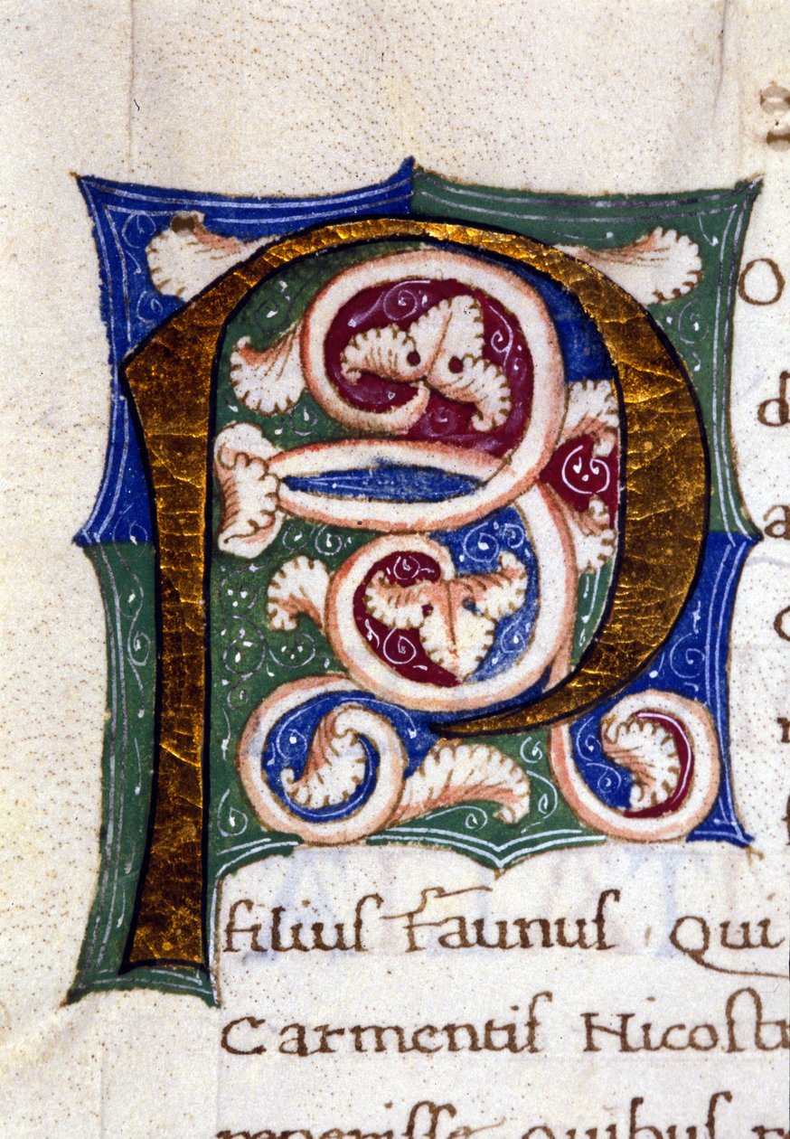 Alfabeto: lettera miniata P da Unknown artist