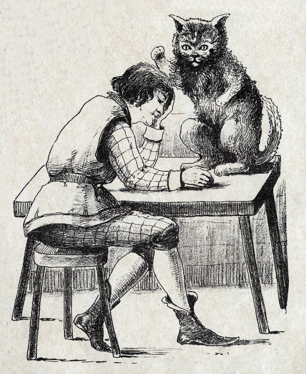 Illustrazione anonima per 