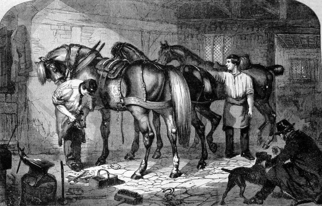 Artigiano: il maniscalco ferrava gli zoccoli dei cavalli. Incisione del XIX secolo da Unknown artist