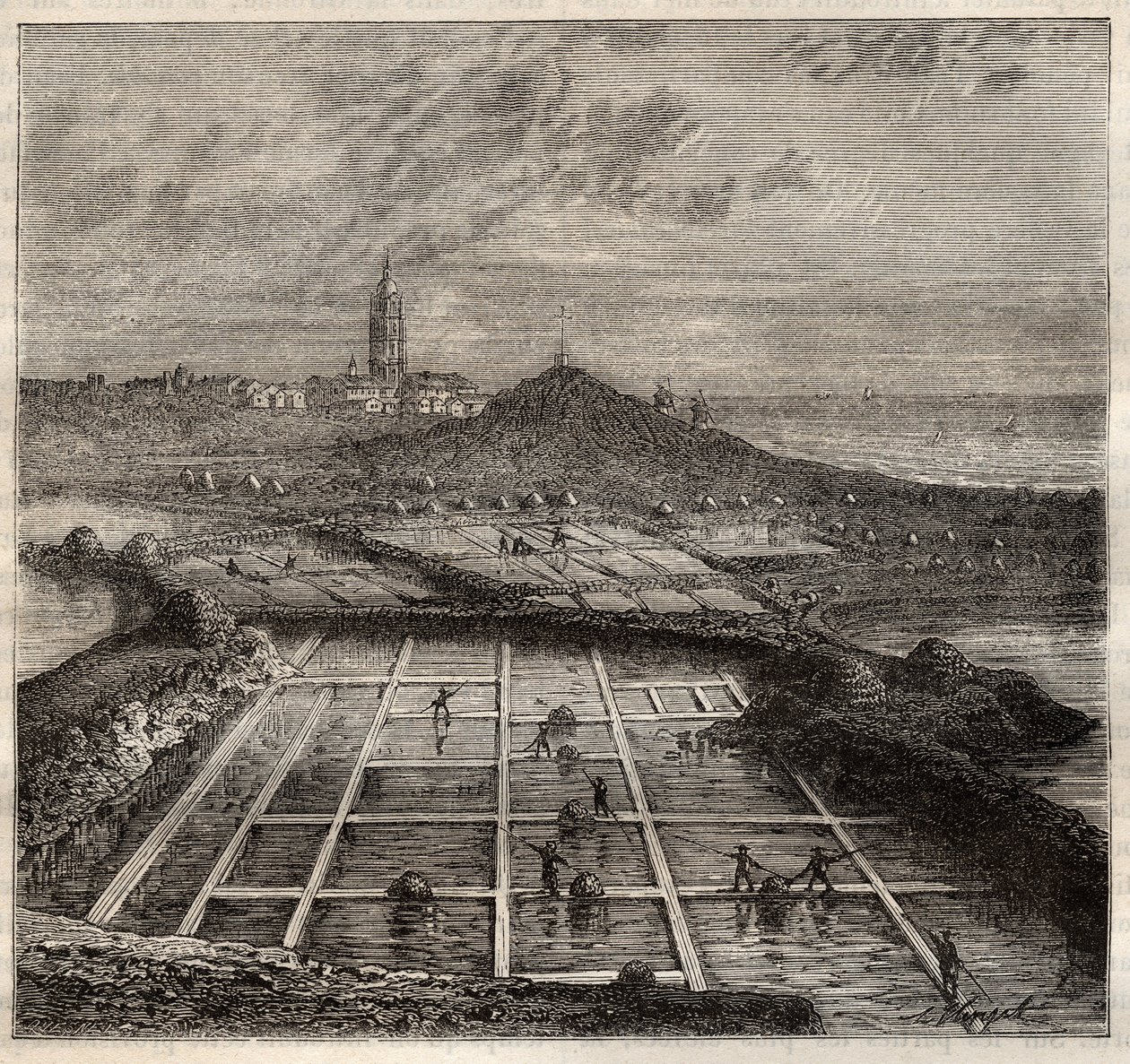 Batz sur Mer, Bretagna, Francia - Produzione di sale. Vista di una salina nella Francia occidentale - incisione in 