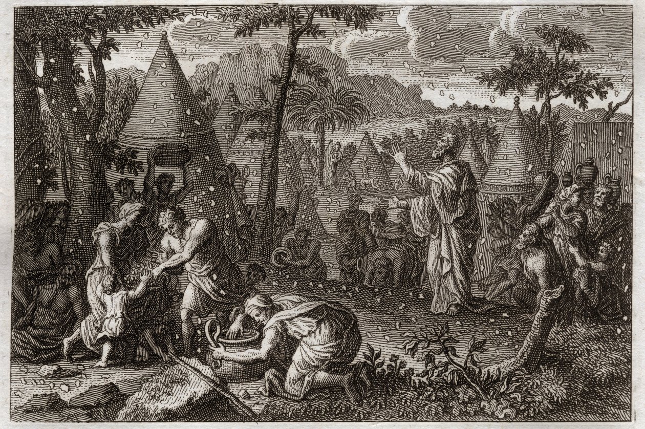 Bibbia di Royaumont, Antico Testamento: Gli ebrei nel deserto (o la raccolta della manna). Dio fa cadere la manna dal cielo per quarant