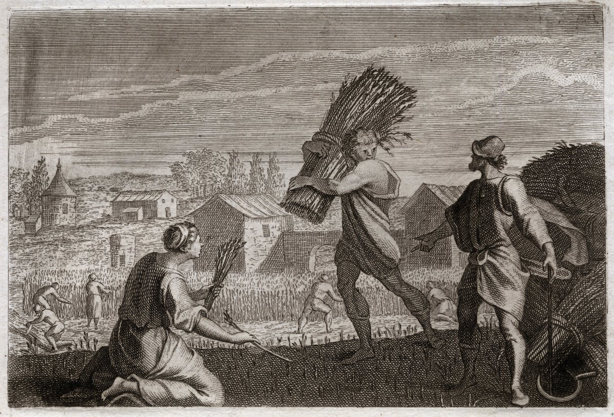 Bibbia di Royaumont, Antico Testamento: Ruth segue la suocera Noemi nella terra di Giuda e miete i campi di grano di Boaz. Illustrazione del 1811 da Unknown artist