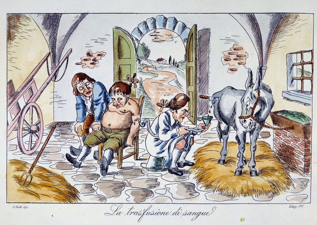 Trasfusione di sangue Un medico inietta sangue di cavallo in un paziente. Caricatura del XIX secolo Collezione privata da Unknown artist