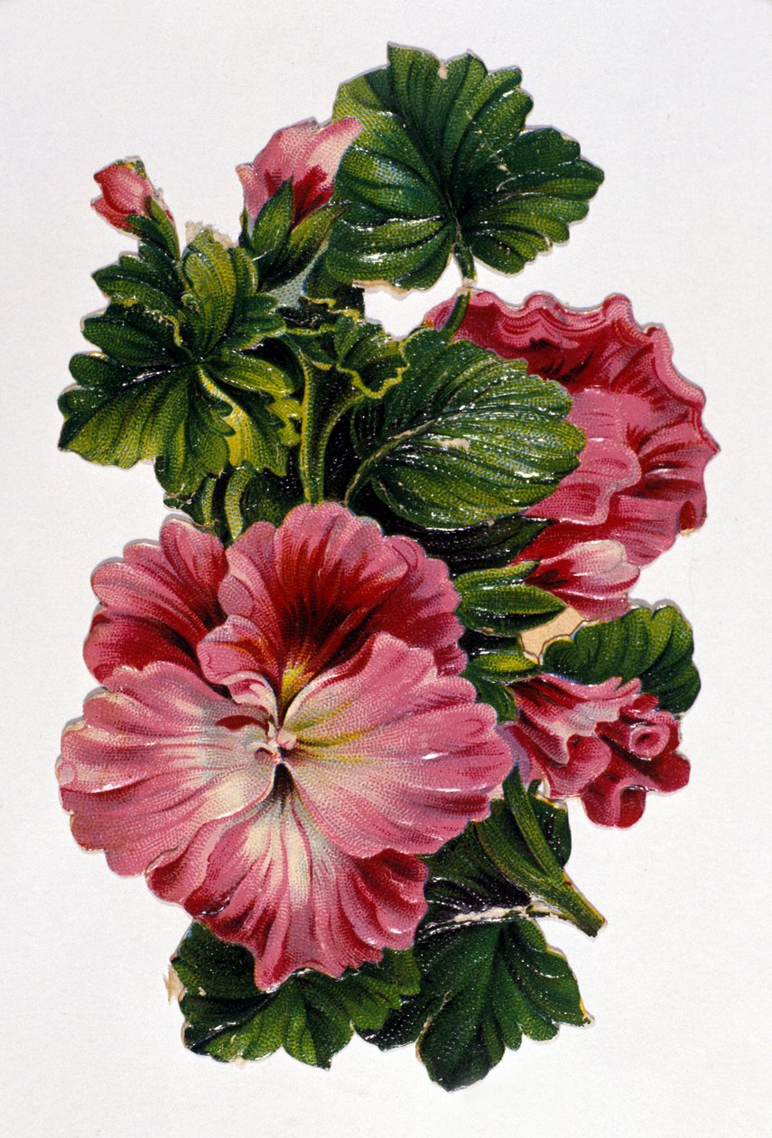 Bouquet di fiori. Cromolitografia del XIX secolo. da Unknown artist