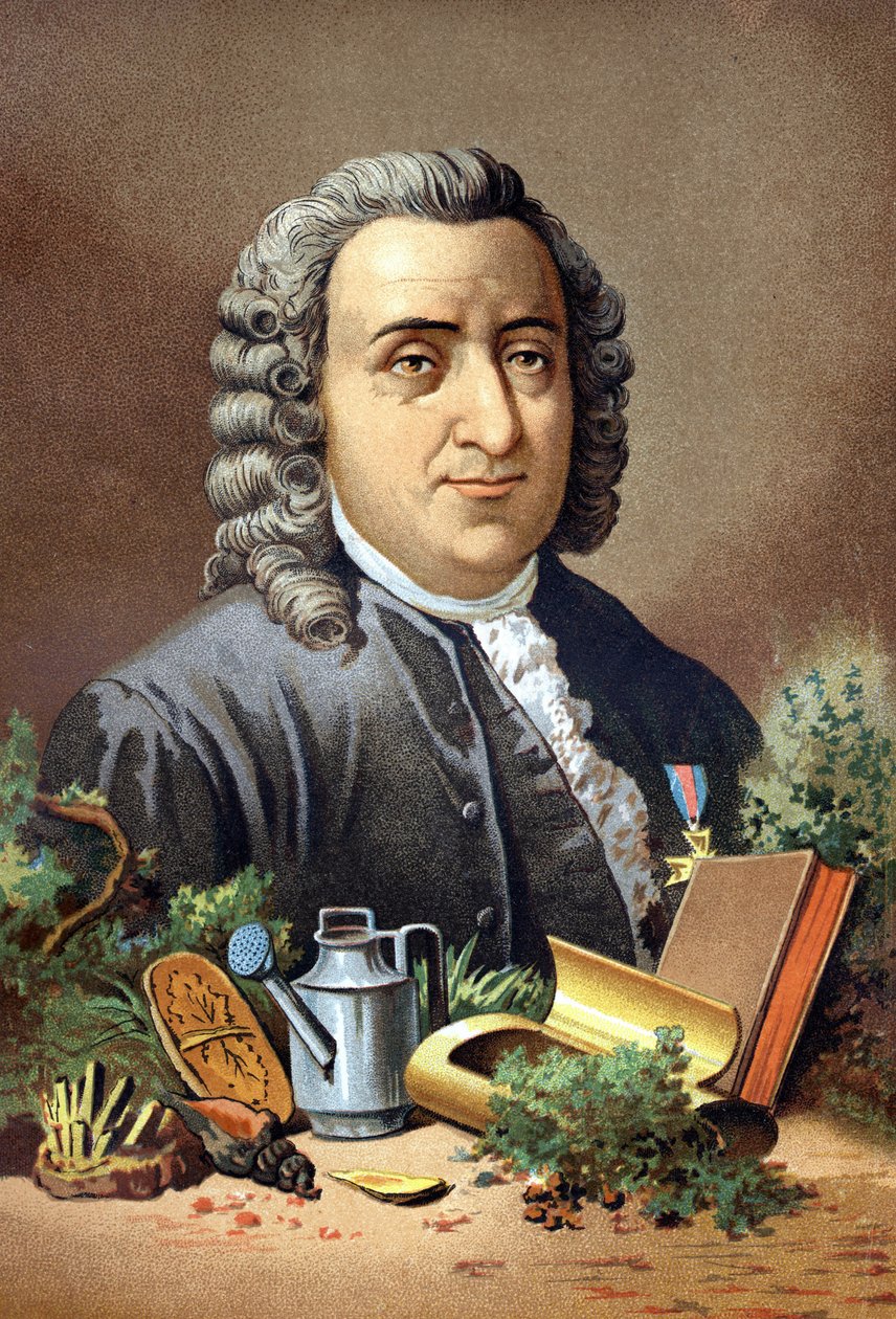 Carl von Linné naturalista e scrittore svedese (1707 - 1778) da 