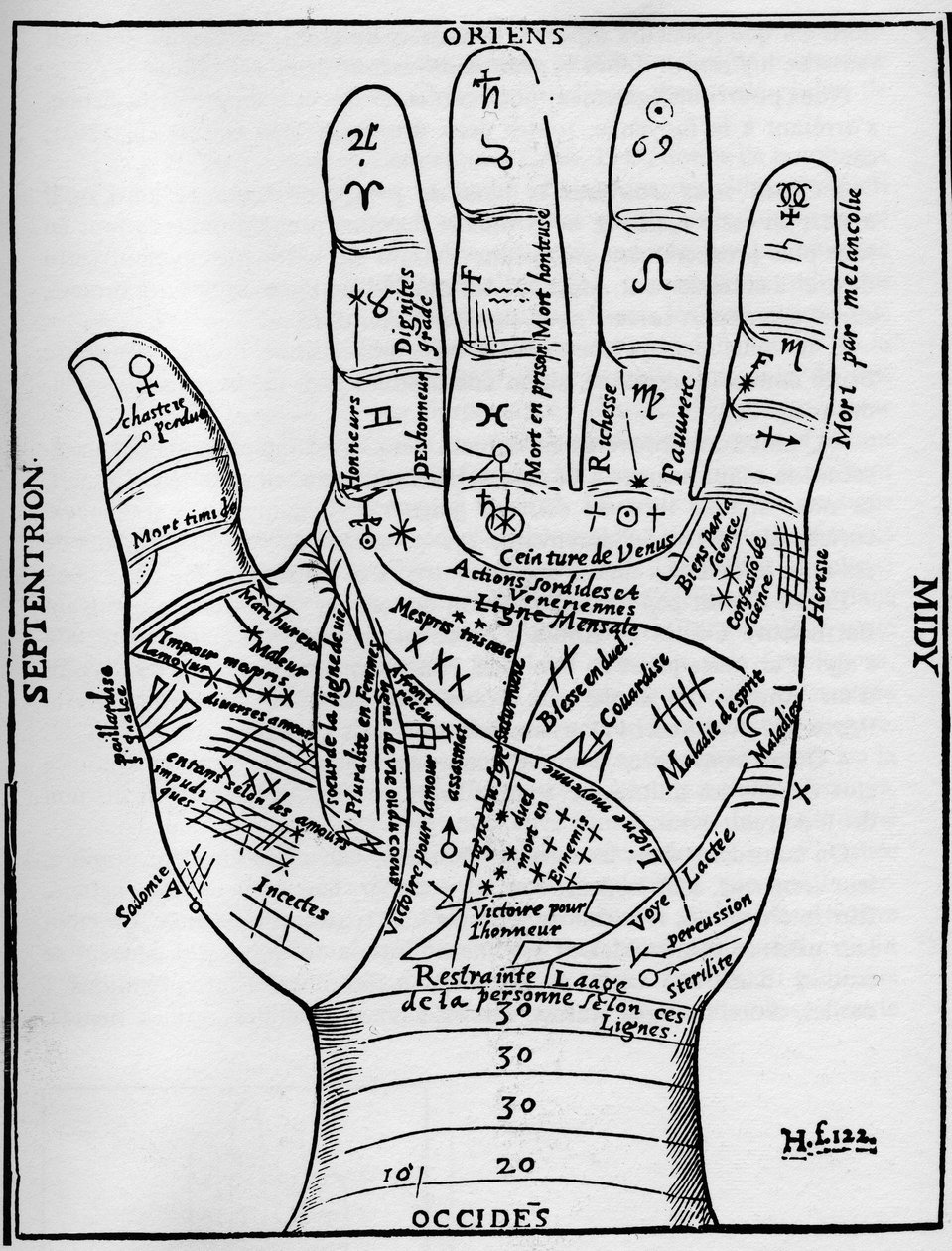 Chiromanzia - TABELLA DI CHIROMANZIA - Diagramma planetario e zodiacale della mano sinistra - Xilografia da 
