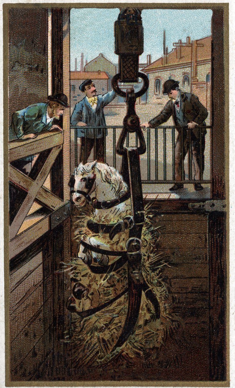 Cromolitografia della fine del XIX secolo da Unknown artist