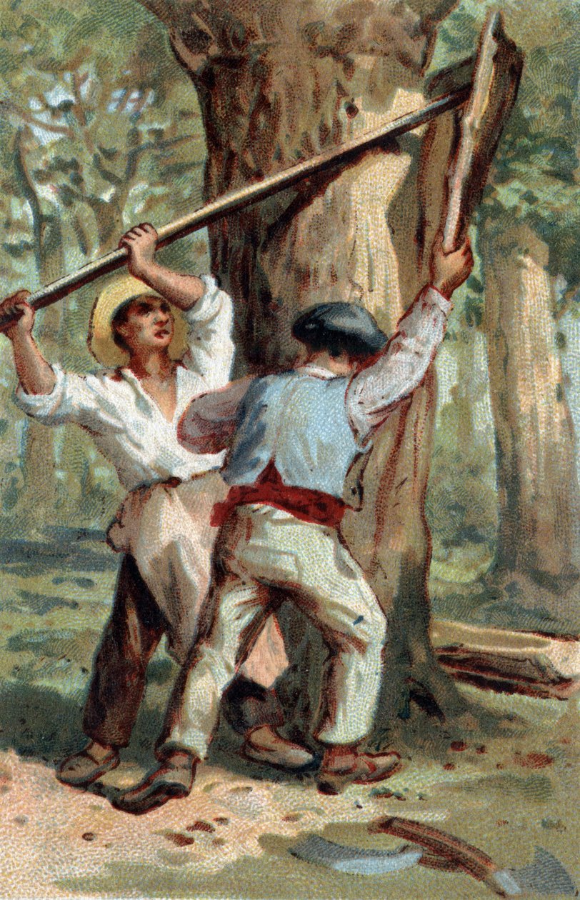 Cromolitografia della fine del XIX secolo da Unknown artist