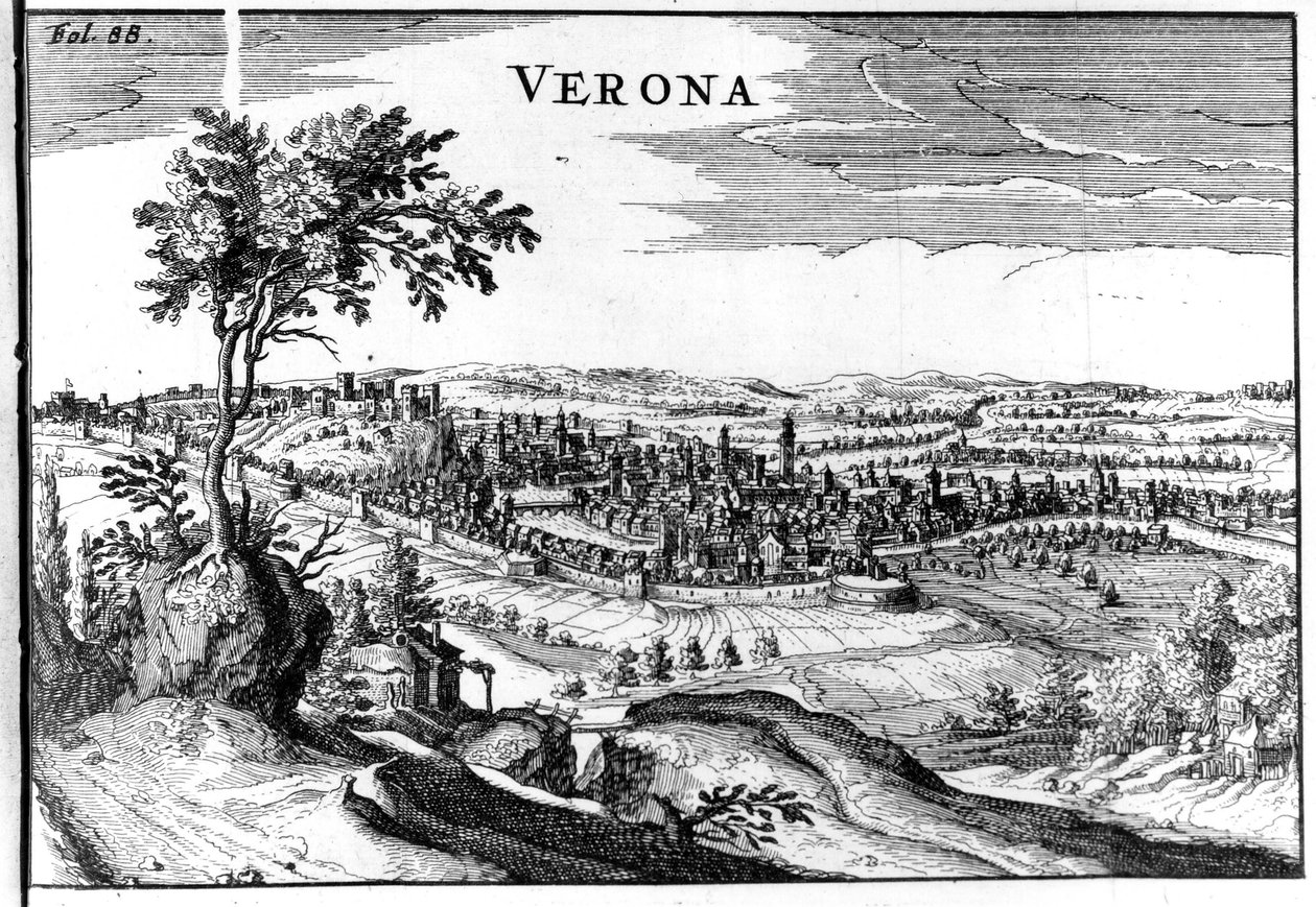 Mappa della città di Verona XVI secolo da Unknown artist