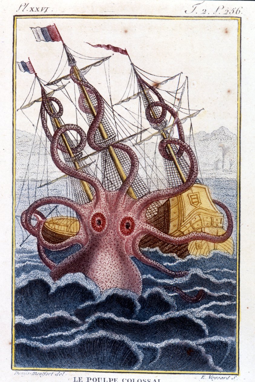 Polpo colossale (polpo, calamaro gigante, kraken) che attacca una nave - incisione del libro di Pierre Denys-Montfort "Histoire naturelle des mollusques", edizione originale del 1802 da Unknown artist