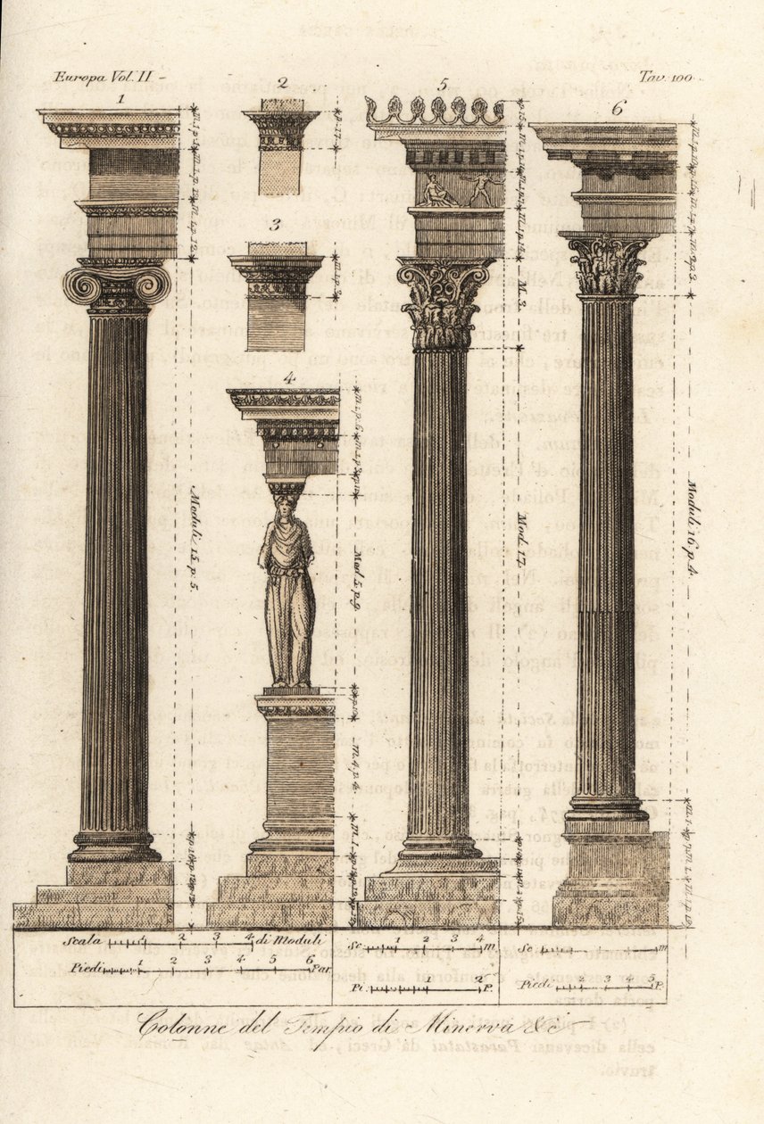 Colonne del Tempio di Minerva, Atene da Unknown artist