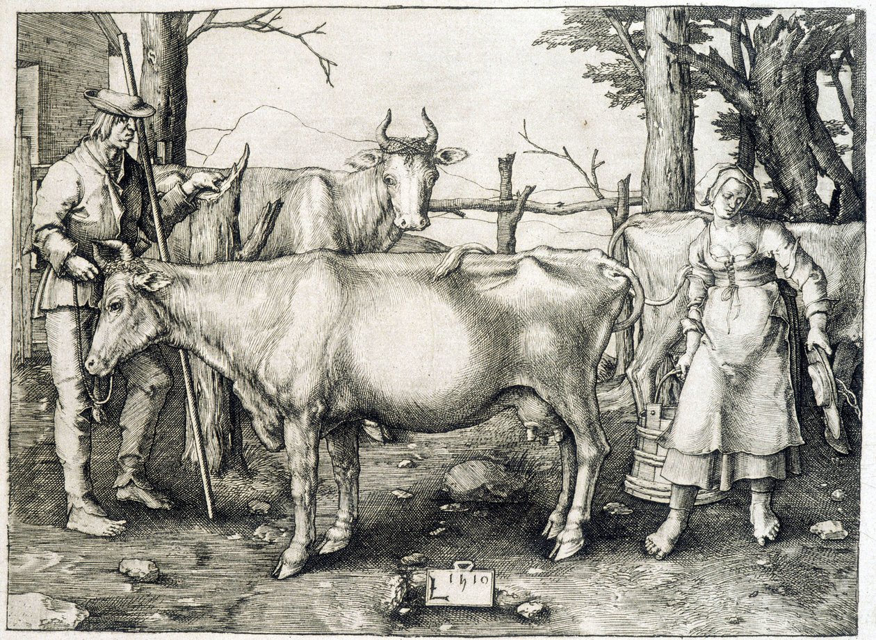 Mantello e latteria in Olanda da Unknown artist