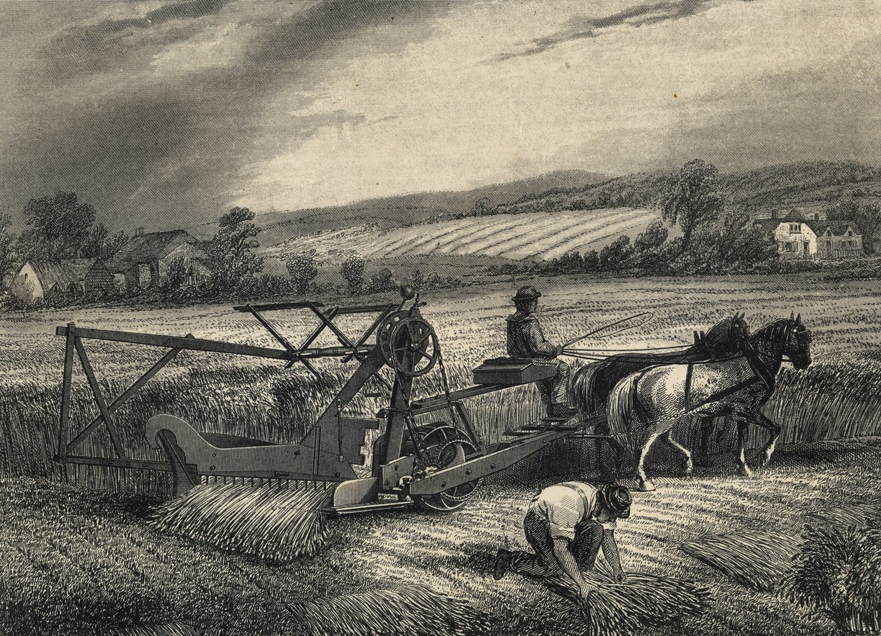 La mietitrice di Cyrus McCormick del 1831, esposta alla mostra del Crystal Palace del 1851. da Unknown artist