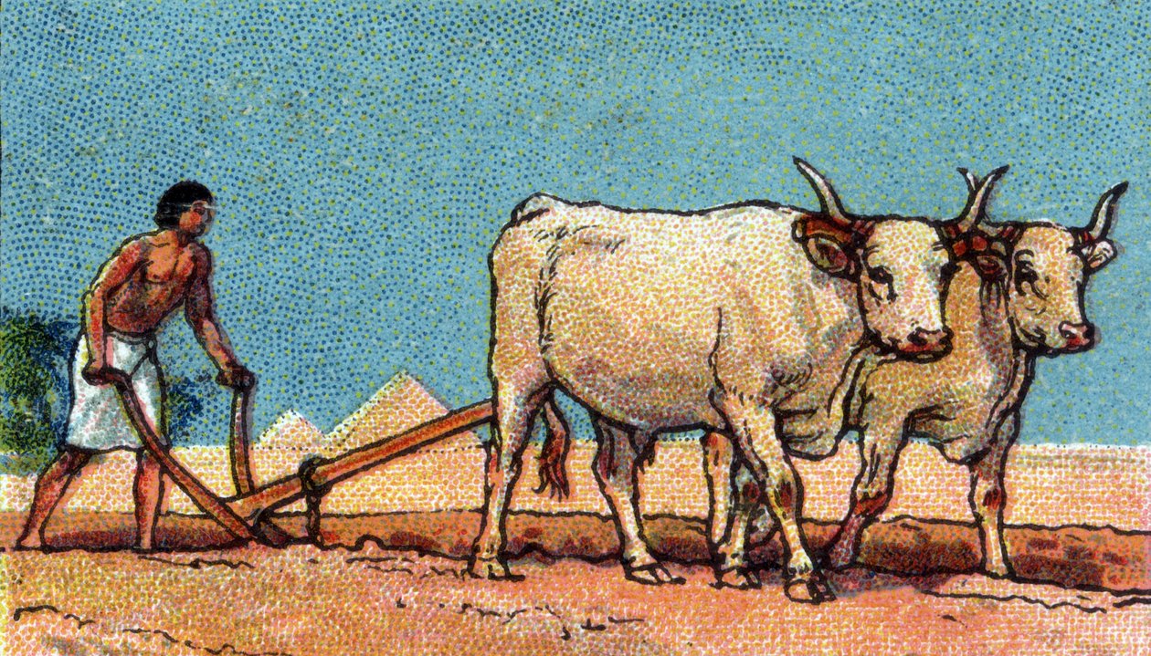 Vita quotidiana nell