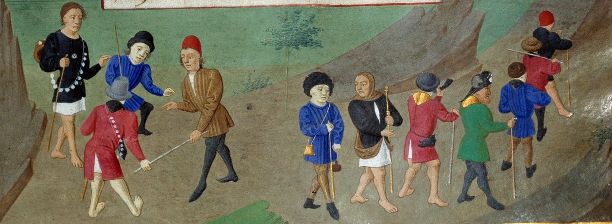 Pellegrini in viaggio Libro d
