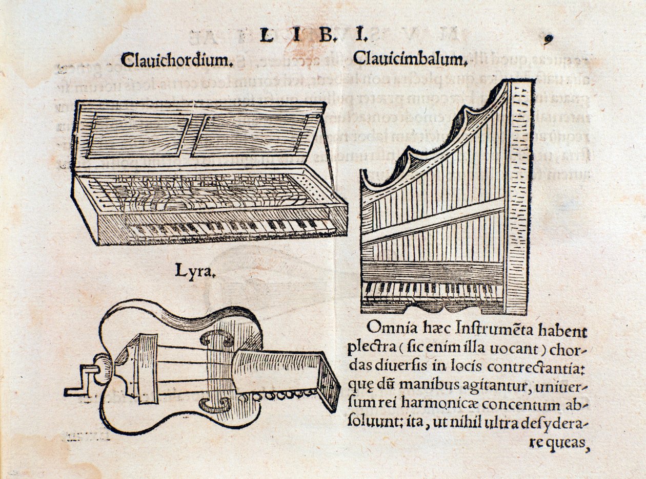 Descrizione di clavicembalo e lira (?) Pagina da Musurgia seu praxis musicae da Unknown artist