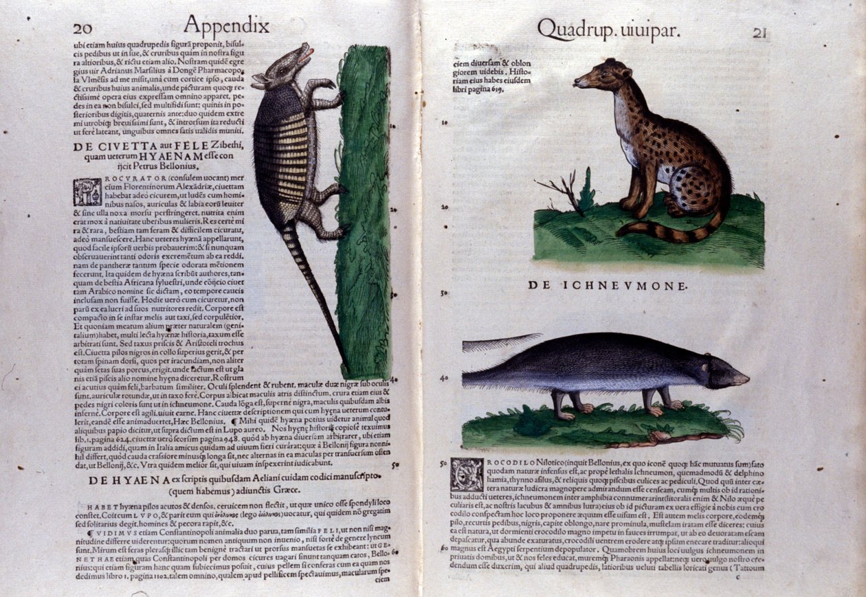 Doppia pagina dell