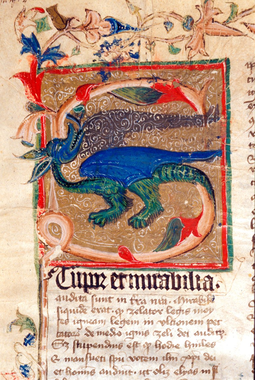 Drago decorato Lettrine (dettaglio) di un manoscritto del XIV secolo da Unknown artist