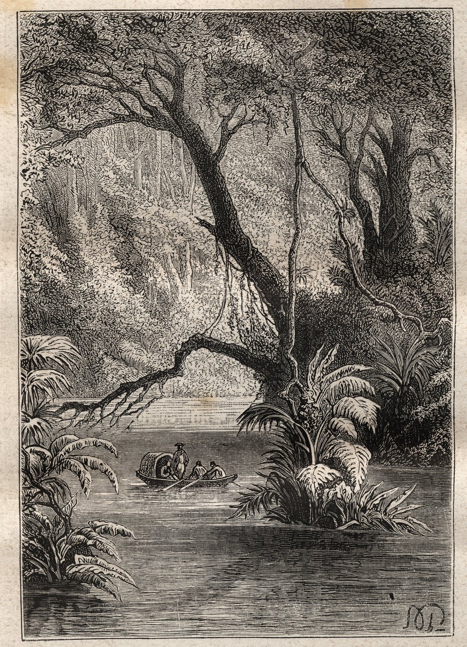 Spedizione in America (1799-1804) di Alexander von Humboldt (1769-1859) e Aimé Bonpland (1773-1858): gli esploratori discendono l