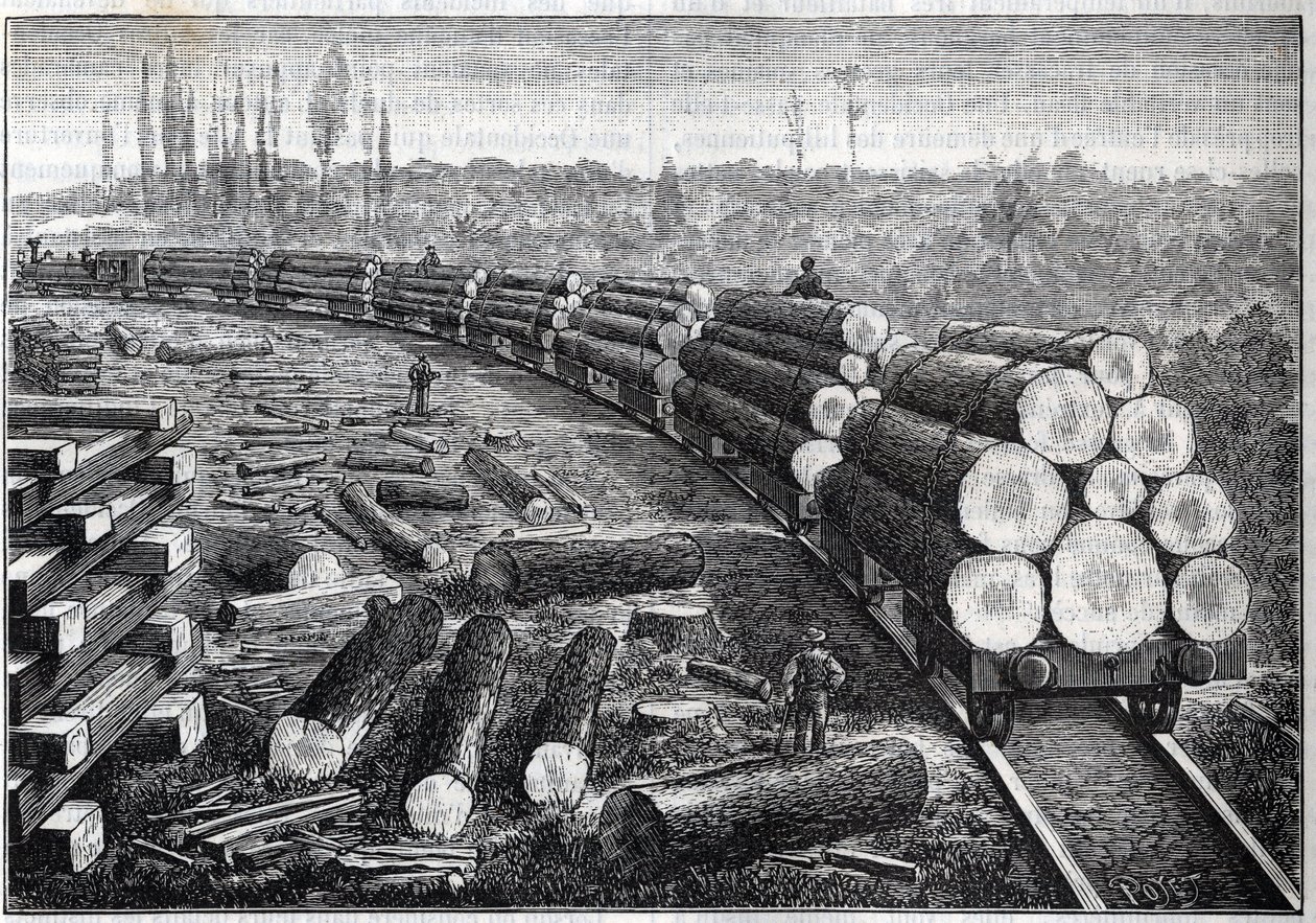 Sfruttamento delle foreste degli Stati Uniti. Ferrovie temporanee con binari in legno. Vagoni che trasportano tronchi d