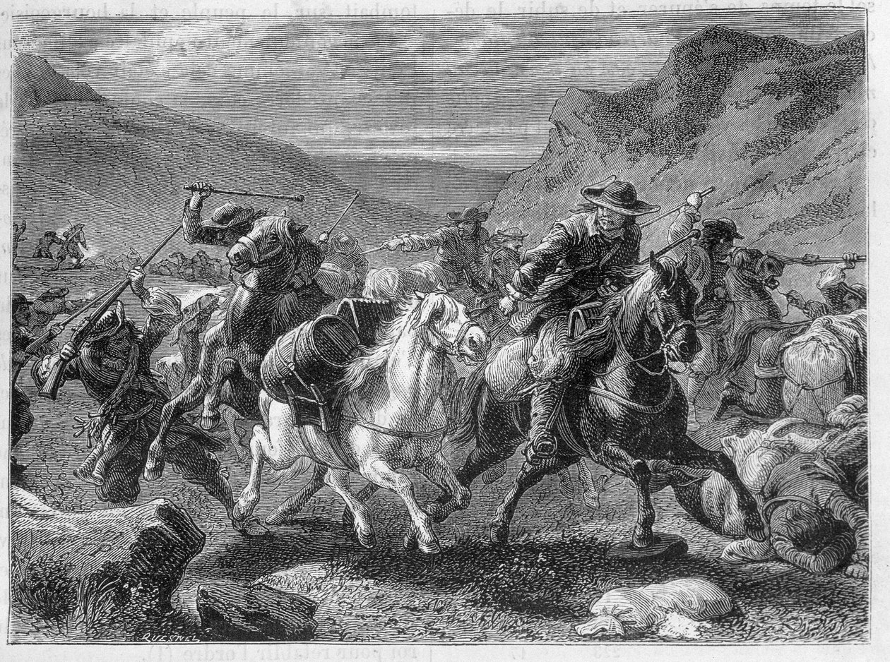 Falsi saunieri attaccati in un