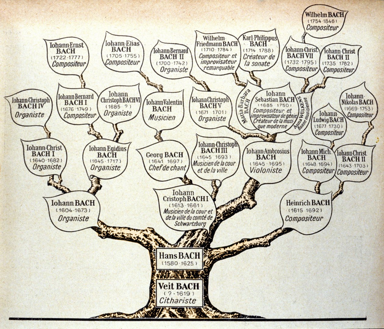Albero genealogico della famiglia Bach da Unknown artist