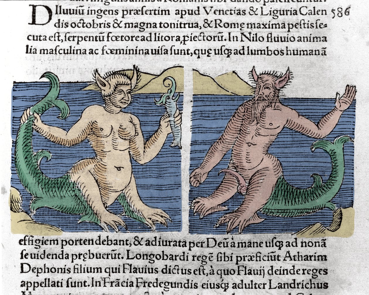 Creature fantastiche: un tritone e una sirena visti nel Nilo. Incisione da 