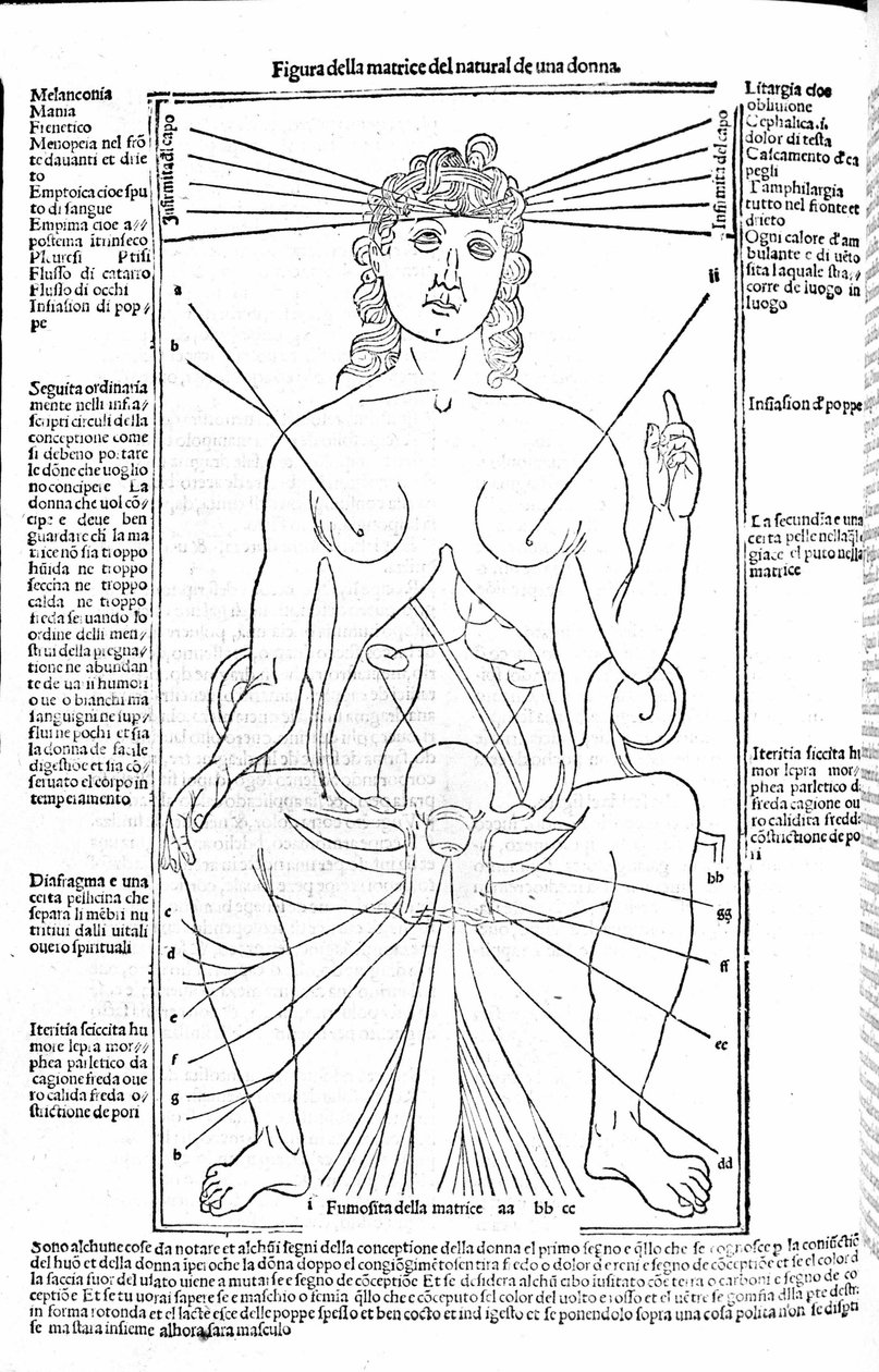 Apparato riproduttivo femminile - nel Trattato di Medicina di Gerolamo Cardano, Firenze 1585. da Unknown artist