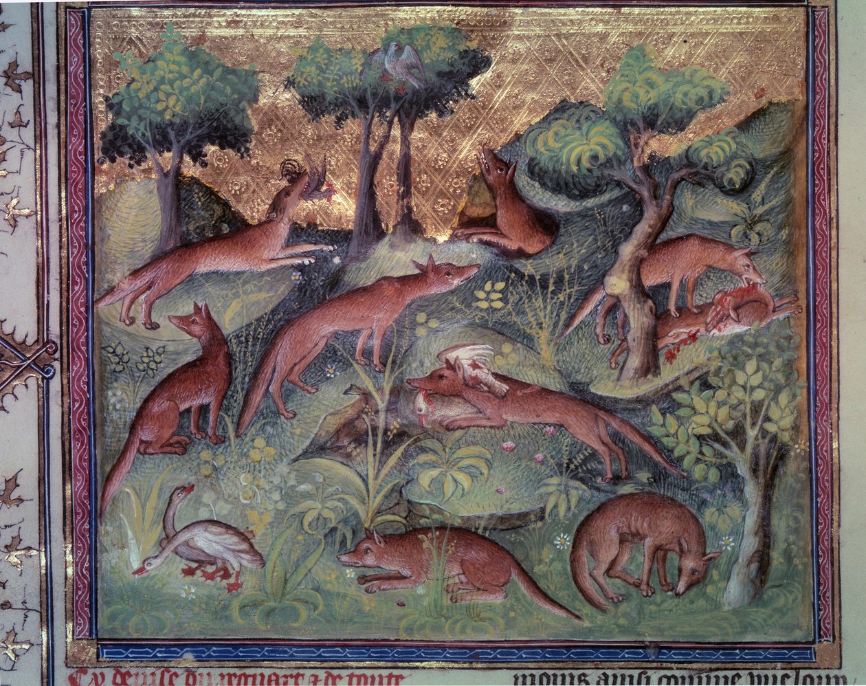 Caccia alla volpe. Miniatura dal manoscritto “Il libro della caccia” (folio 34v) di Gaston Phoebus (1331-1391) detto Gaston III Conte di Foix da Unknown artist