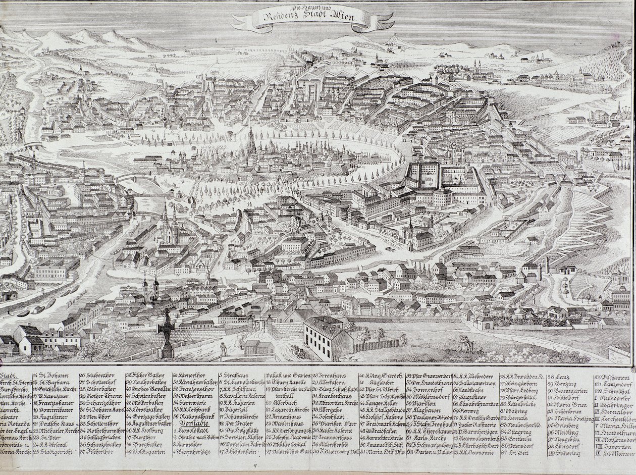 Veduta generale della città di Vienna con dettaglio dei principali edifici e monumenti. Austria Incisione del 1800 Collezione privata da Unknown artist