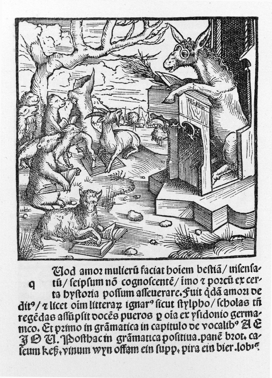 Incunabolo tedesco che raffigura un asino che insegna a una classe di animali della foresta. 1490. da Unknown artist