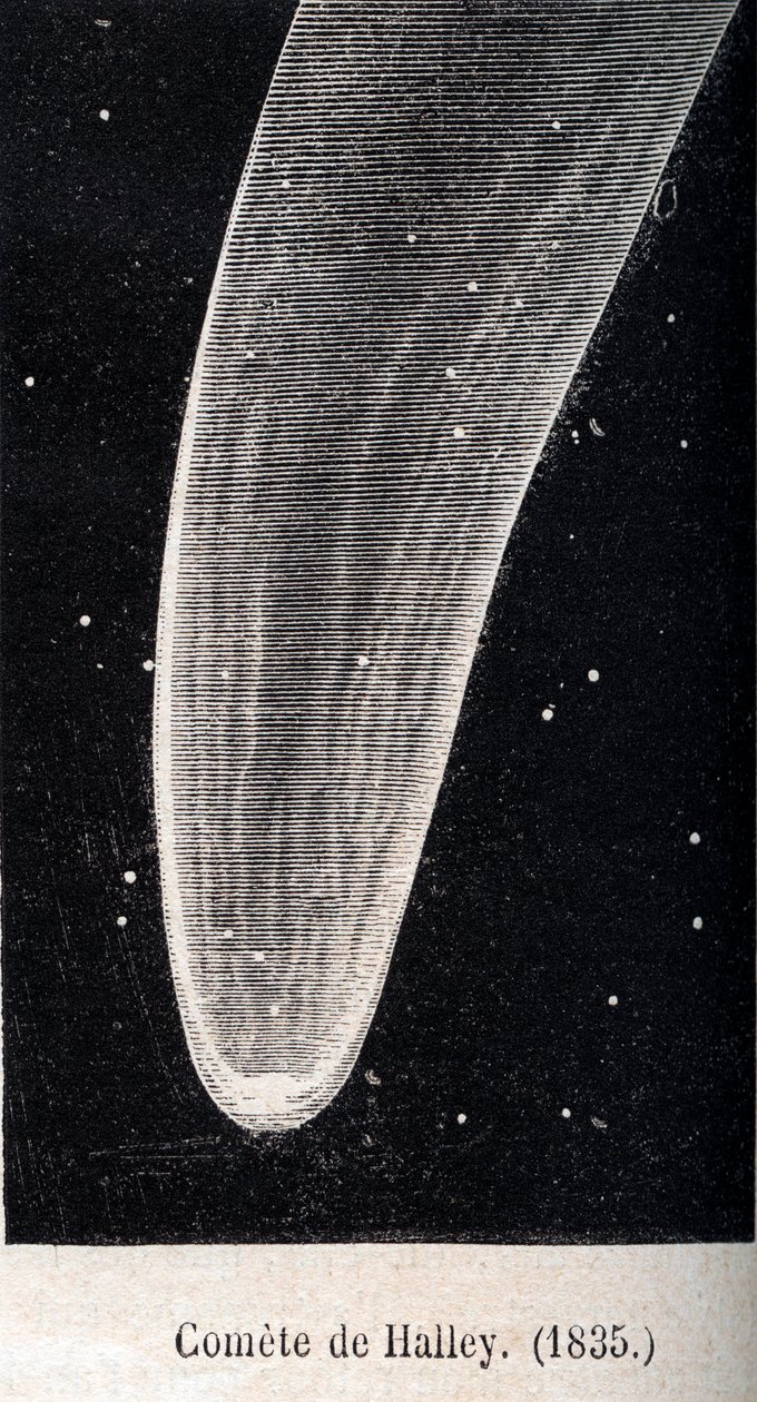 Cometa di Halley 1835 - incisione intorno al 1867 da Unknown artist